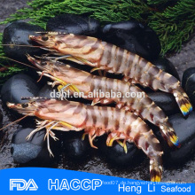 HL002 Gefrorene Garnelen Meeresfrüchte für den Export